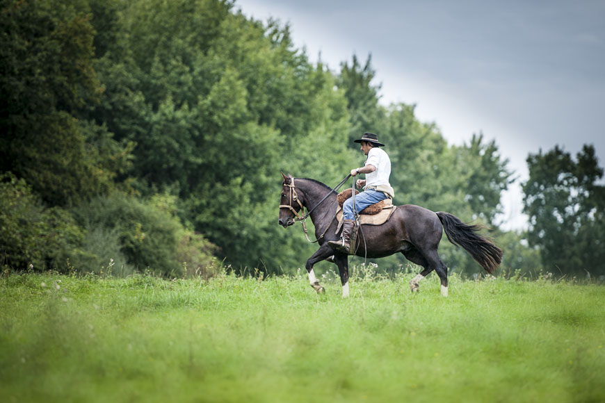 01_Daniel_Berhouet_Reiten_wie_die_Gauchos_Pferde_Criollos_Kühe_Rinder_Levke_Schulz_Gut_Dahlwitz-5506